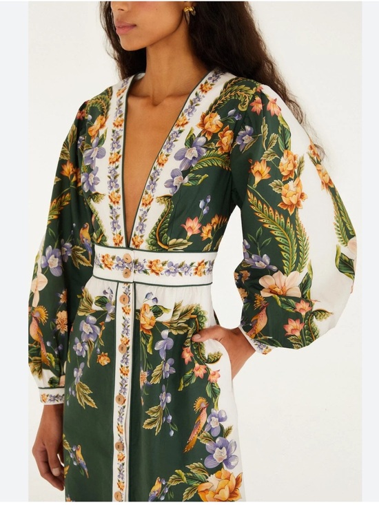 FARM Rio Dresses & Skirts - FARM Rio Green Floral Deep V Button-Front Maxi Dress